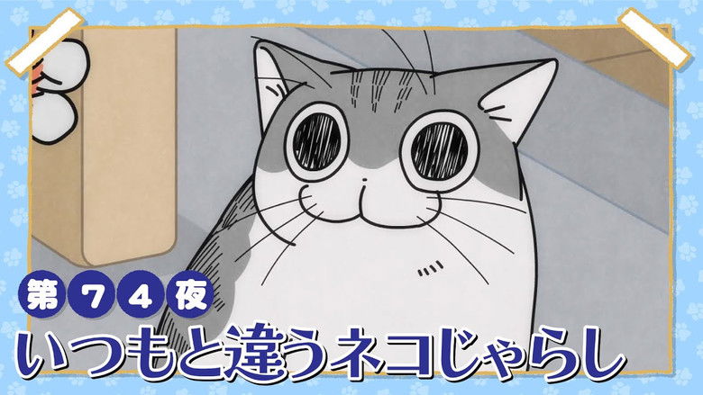 Still image for Nights with a Cat season 1 episode 74: Night 74: A Different Kind of Cat Teaser