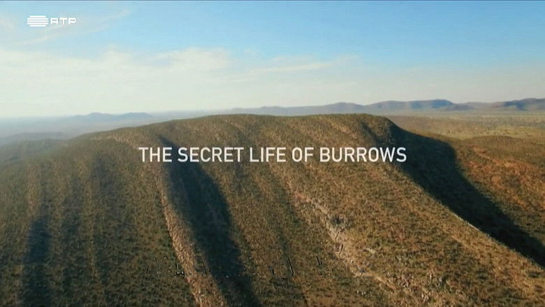 Still image for Planet Safari season 1 episode 7: Episode 7