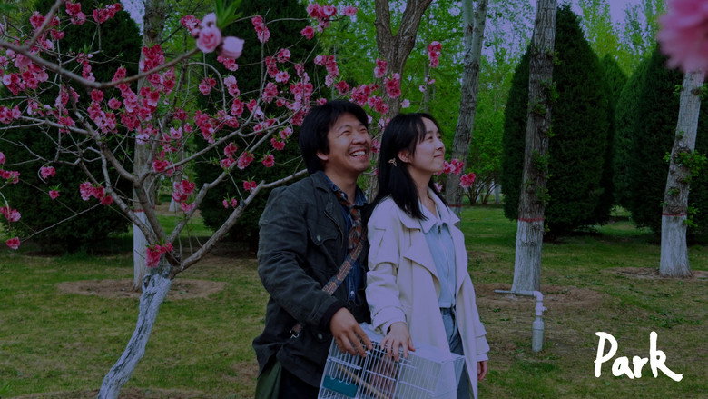 PARK tetralogy spring