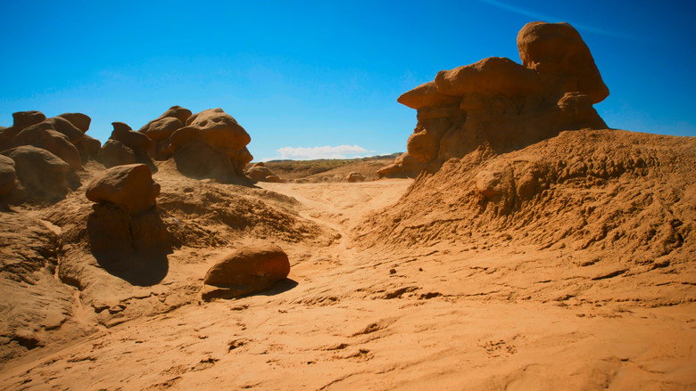 Still from Planet Erde II: Eine Erde - viele Welten - Season 1 Episode 4