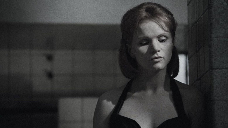 Image d'arrière-plan 8 du film La fille aux cheveux roux