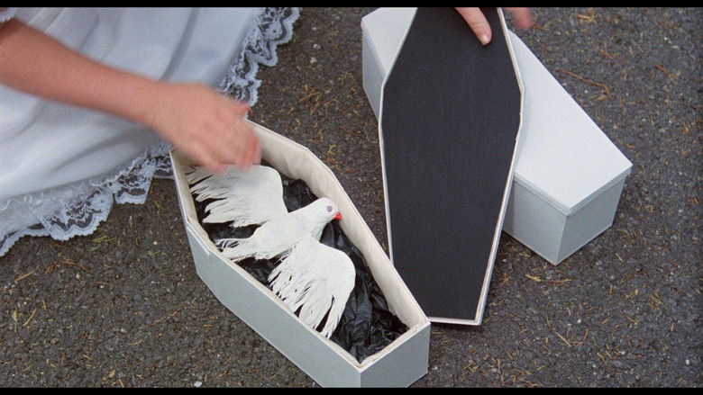 128swali1ri1whnzhl0ucehjccm