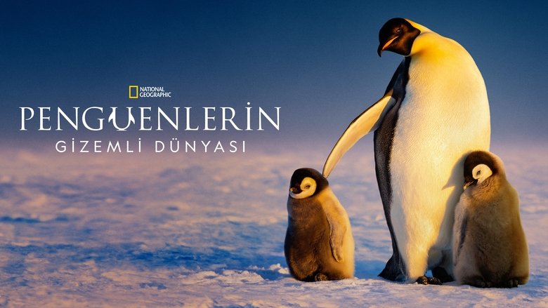 Gallery image from 12R4GUCZE9qZqI5QDhZSH147x4g.jpg