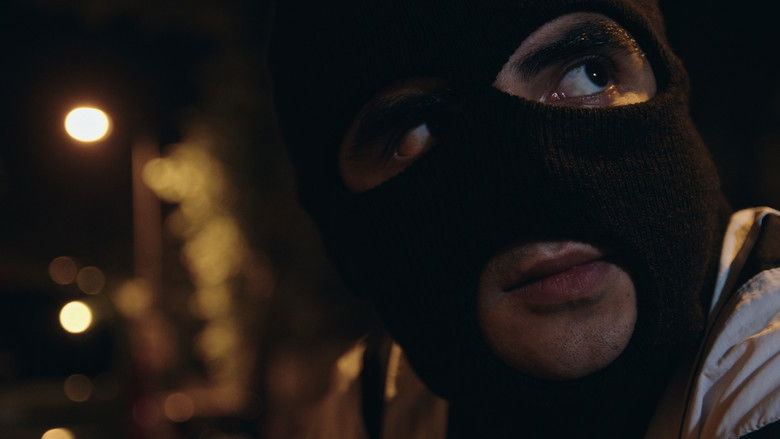 Imatge de The Supplement