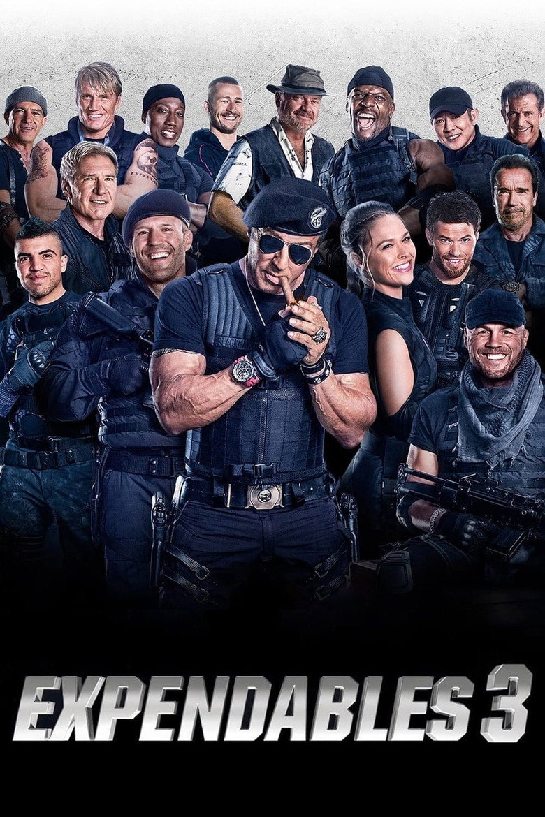 Póster la Película