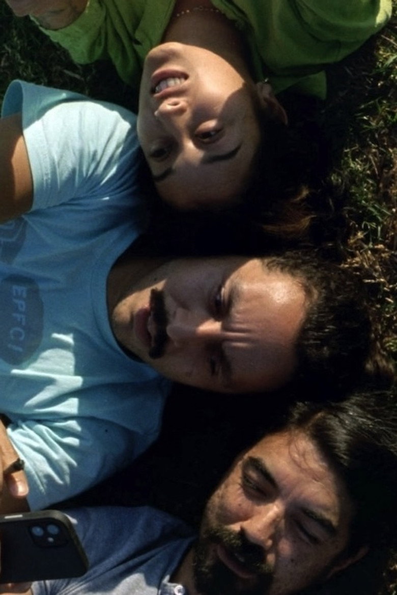 Imatge de Selegna sol