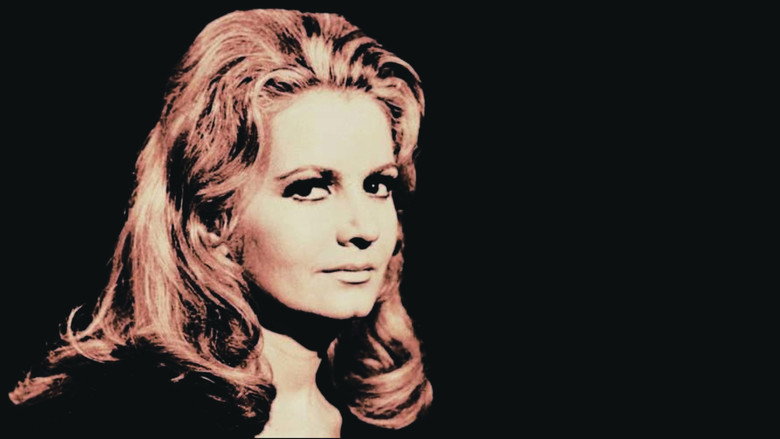 O Santo Mestiço Photo 1