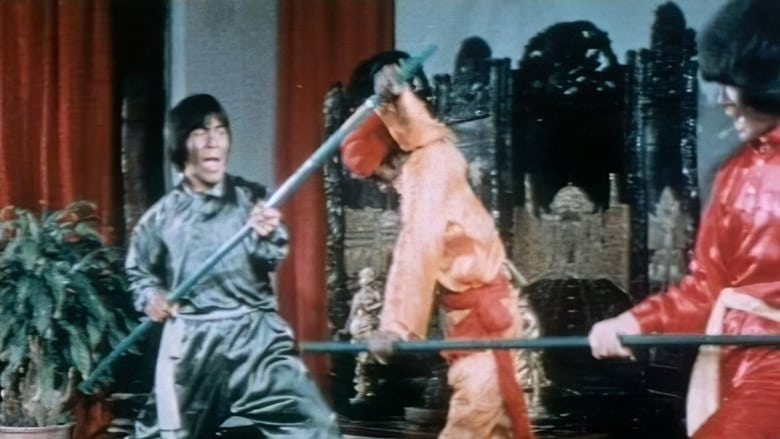 Kung-Fu Contre Yoga en streaming