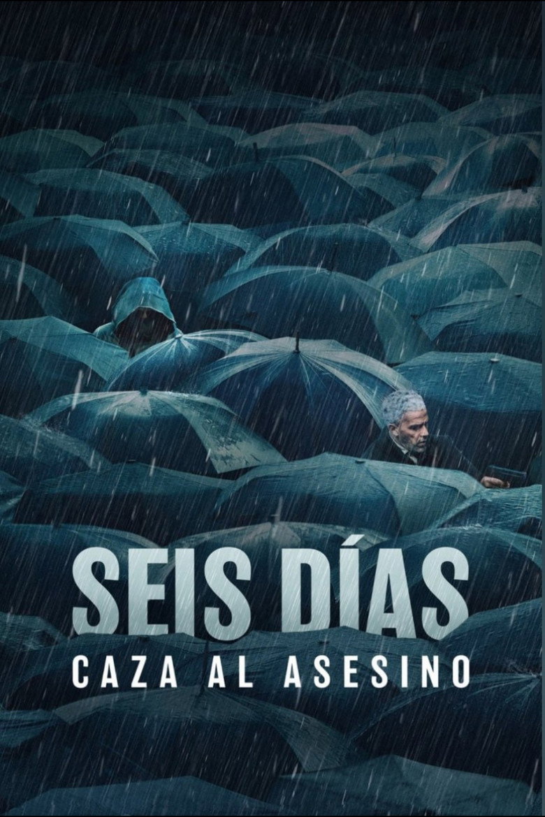 Póster la Película