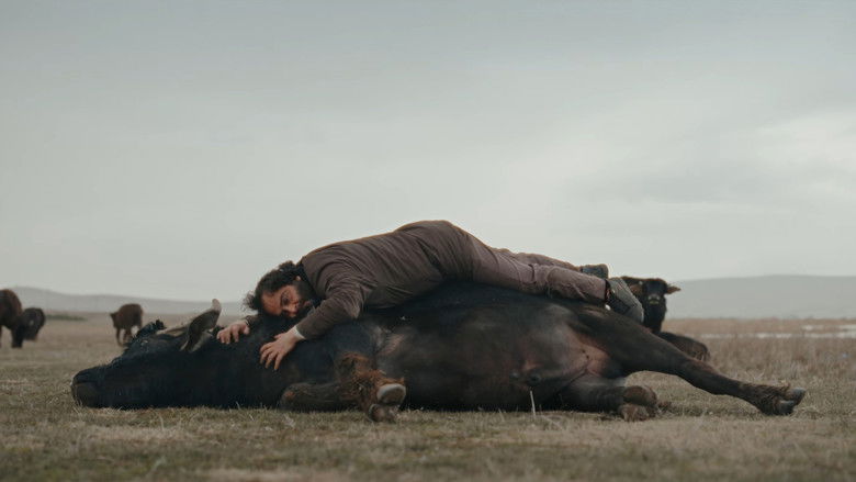 Imatge de Günyüzü