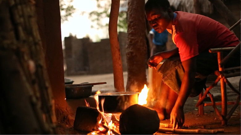 Modern Cooking Fuels