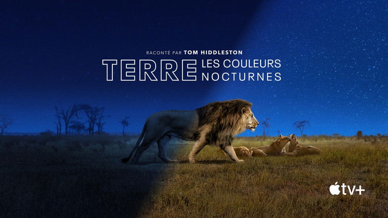 Gallery image from 14kTcntXJJO3hvmGD7H7uWSmv9P.jpg