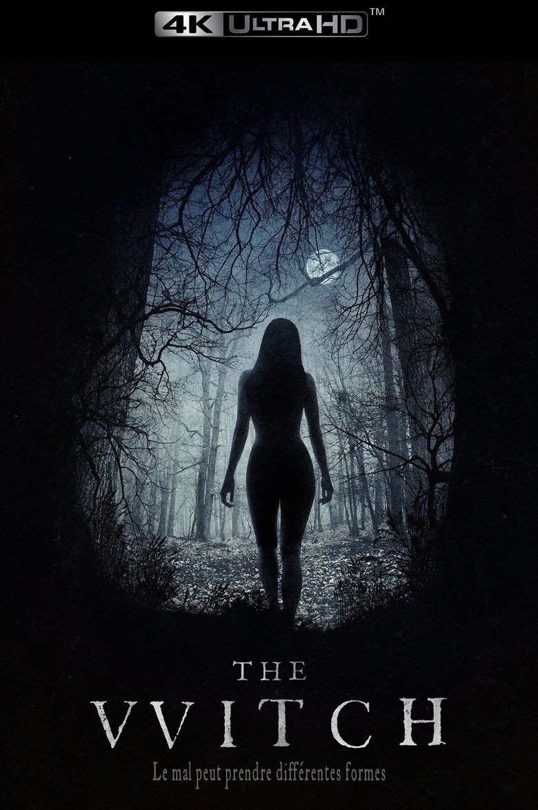 Poster du film The Witch