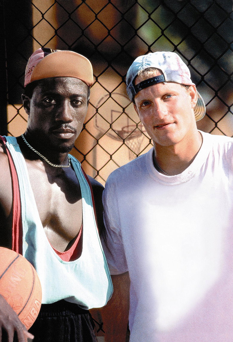 Imatge de Els blancs no la saben ficar