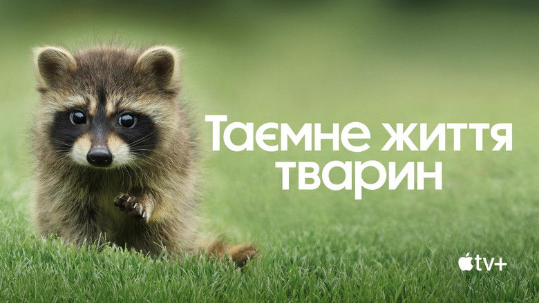 Gallery image from 16B5lZq4htKxzq4HkL9iLLdetc9.jpg