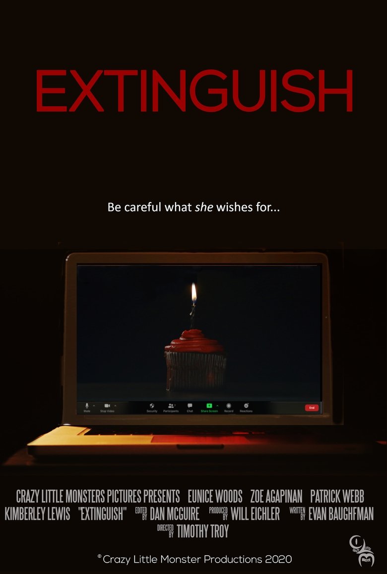 Extinguish main poster