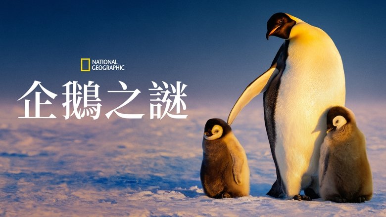 Gallery image from 16RgaBvggnvfHvKjVZwzxuTd6mr.jpg