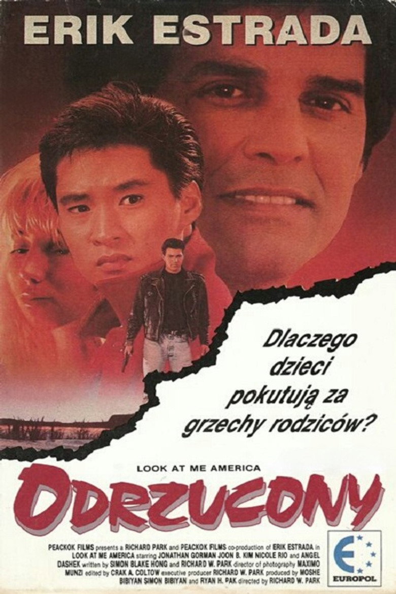 Imatge de Noleul bola america