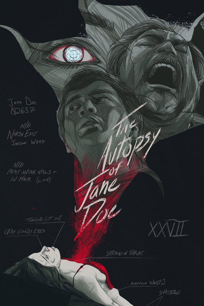 Póster la Película