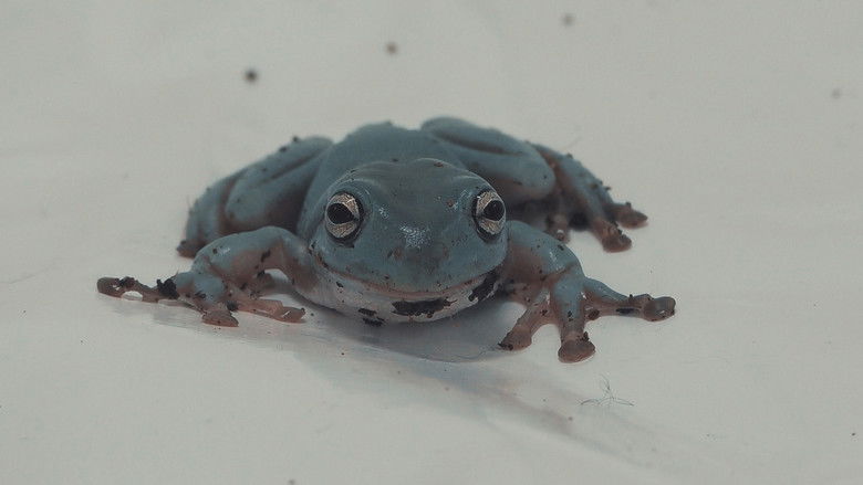 Still image for The Fear Clinic: Face Your Phobia season 1 episode 4: Episode 4