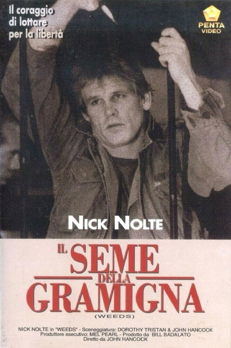 Copertina di Il seme della gramigna