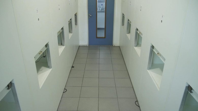 Gallery image from 17wh0aTMfsi4ETDlq8IF0yaElyw.jpg