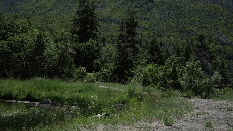 scenes 4