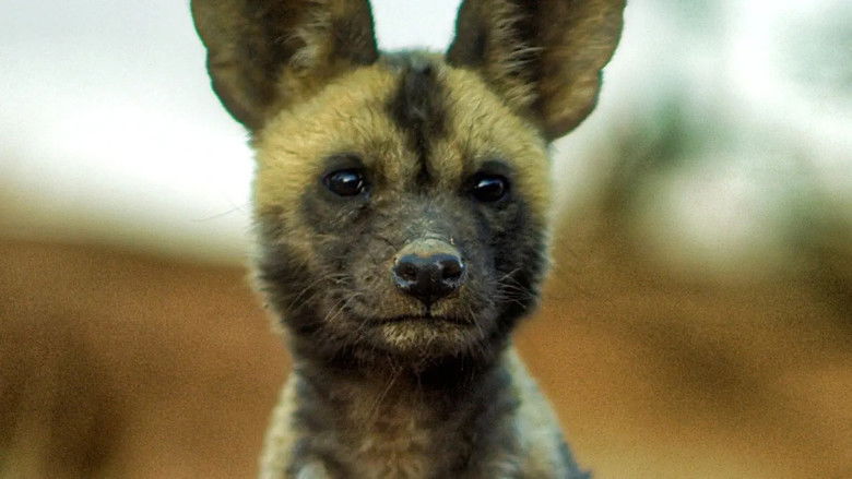 Still image for New Kids in the Wild season 1 episode 1: Lyca the Painted Wolf Still image for New Kids in the Wild season 1 episode 1: Lyca the Painted Wolf