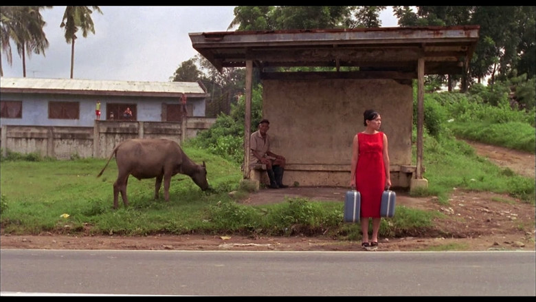 Gallery image from 19Wptq37cSijKoYMjY0clUpSFjc.jpg