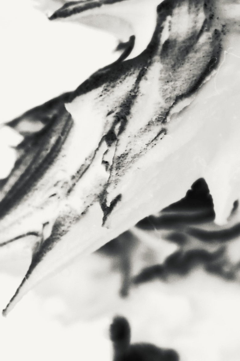 Imatge de Rough Texture / Pilot Run