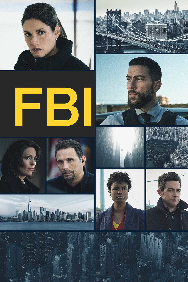 Póster la Serie