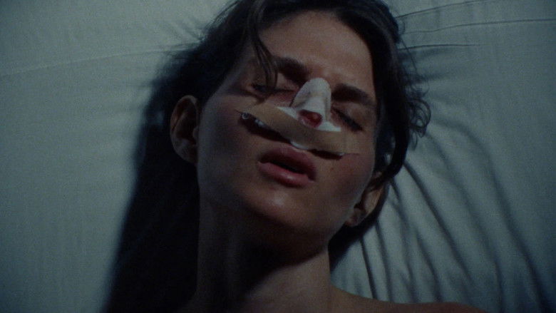 Gallery image from 1BeyHjXm2eBXxcK7xUHlAqObzPS.jpg