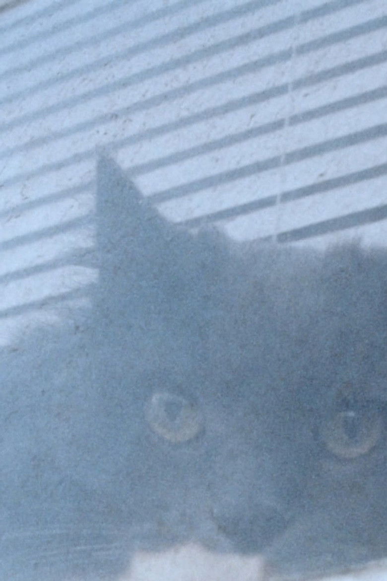 Imatge de Love's Refrain