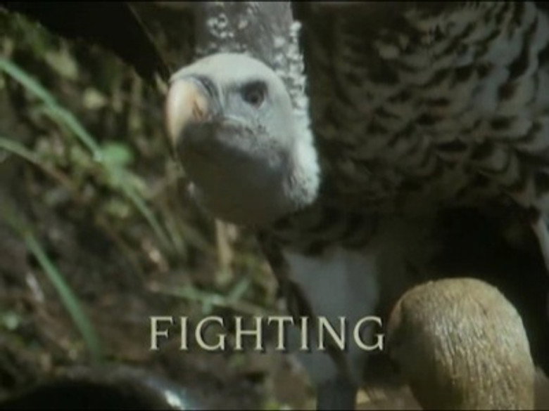 Still from Trials of Life - Mùa 1 Tập 8