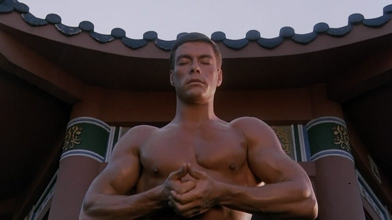 Bloodsport - Saga – Saga Films en streaming VF – 66FilmStreaming