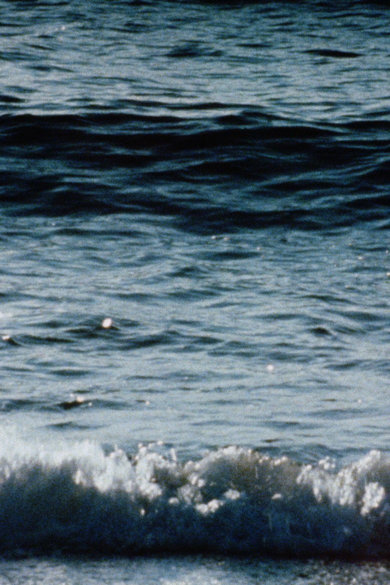 Red Sea background