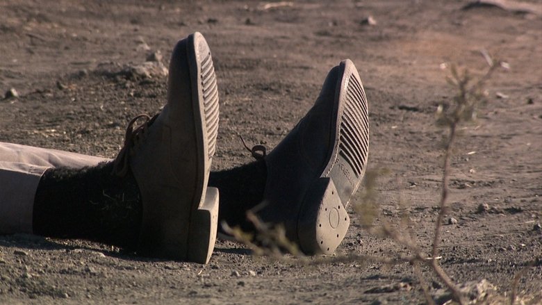 Miners Shot Down (2014)