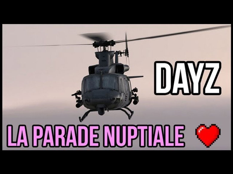 DayZ - The courtship