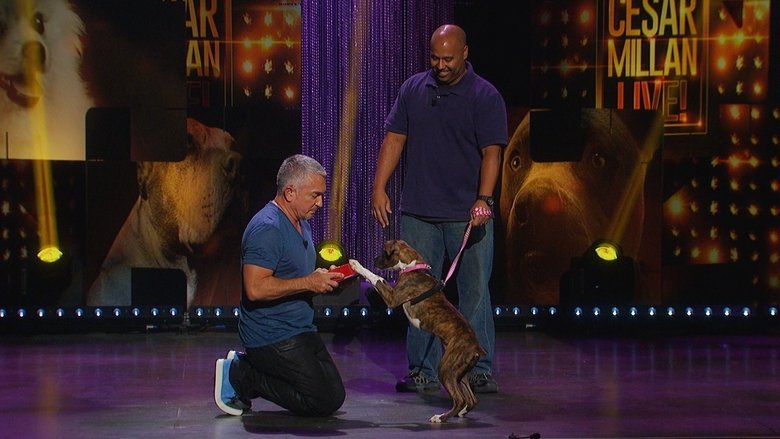 Cesar Millan: Viva Las Vegas! movie poster