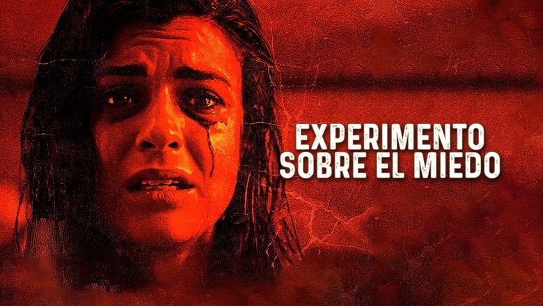 Gallery image from 1FE1Rtkxjk6xBY7WXBypwogKcjn.jpg