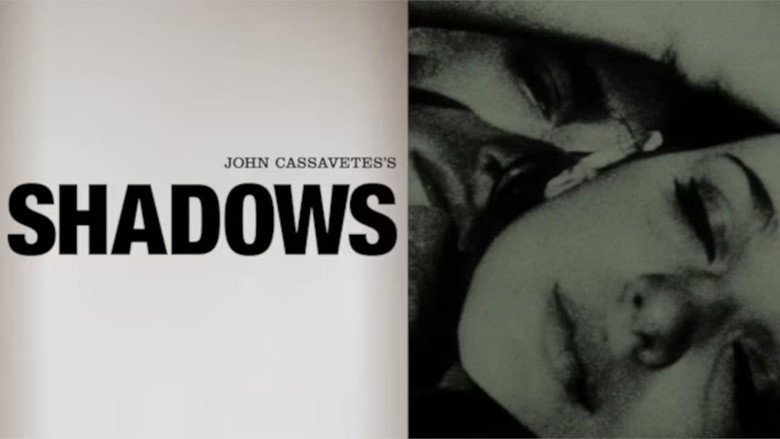 Shadows galeri 10