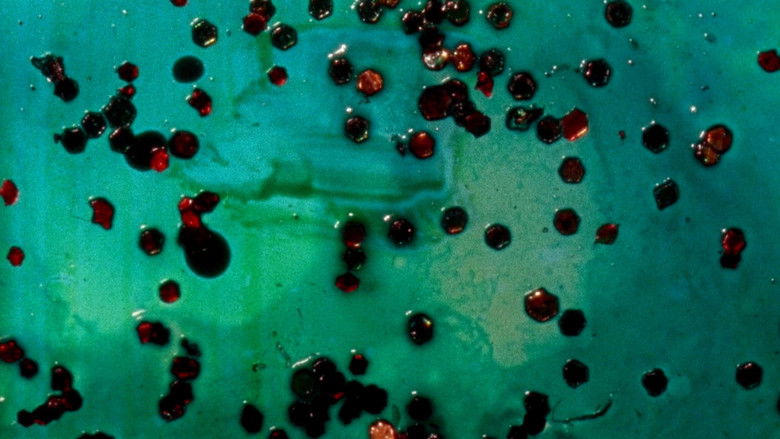 Imatge de Color Neutral