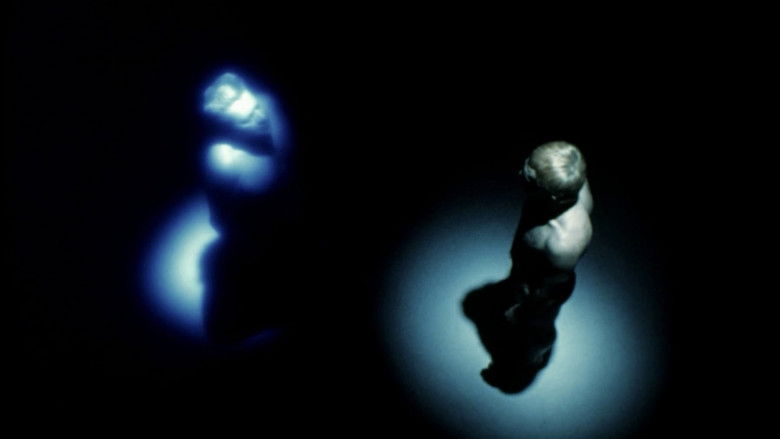 Image d'arrière-plan 6 du film Memoria