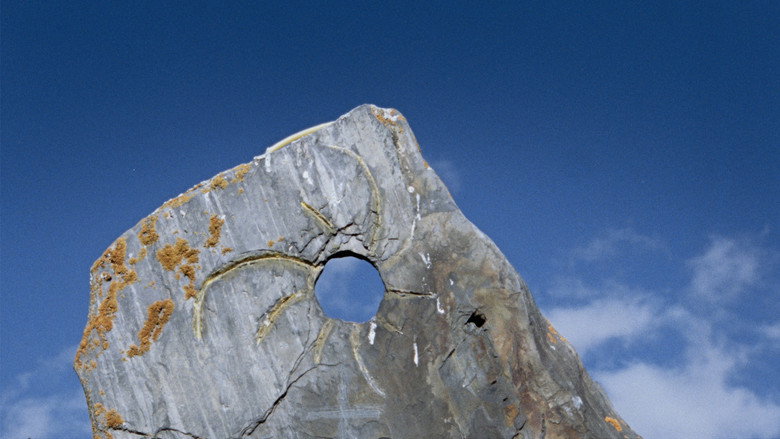 Imatge de The Wind Blows Wherever It Wants