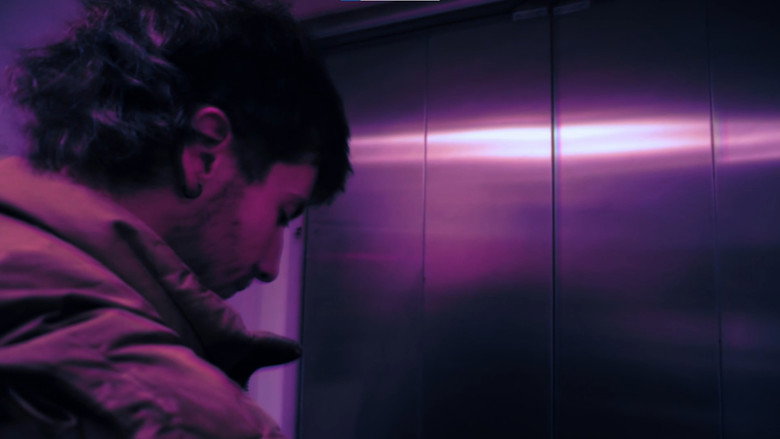 Flamingo Pink image 5