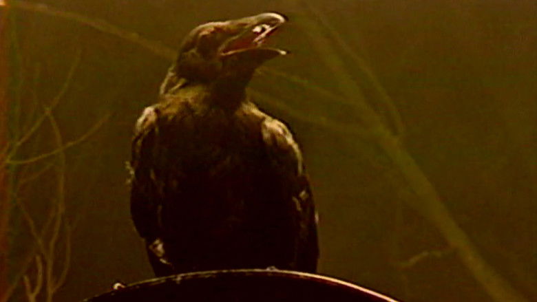 Still image for Creatures Fantastic season 1 episode 7: The Underworld Still image for Creatures Fantastic season 1 episode 7: The Underworld