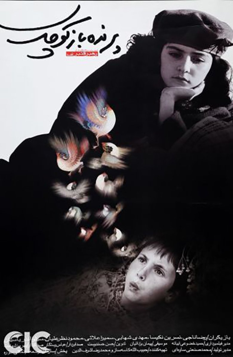 The Little Bird Boy main poster