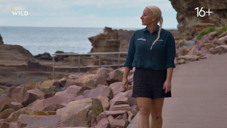 Still image for When Sharks Attack... and Why season 1 episode 4: Bitten in Bali Still image for When Sharks Attack... and Why season 1 episode 4: Bitten in Bali