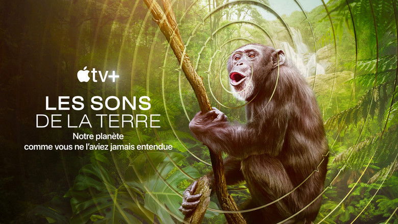 Gallery image from 1HiC7XVUJbKtpYTzqXryN0vwblS.jpg