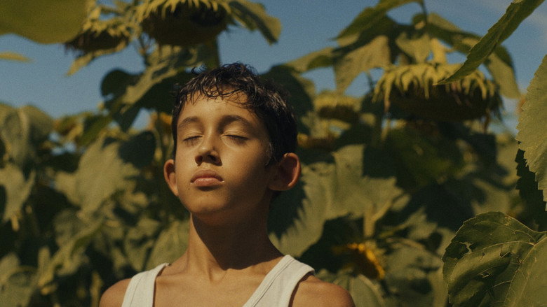 Imatge de I fiori non hanno le scarpe